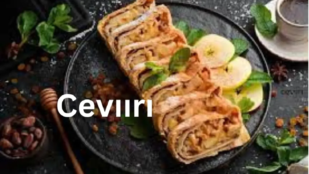 What is Cevıırı?