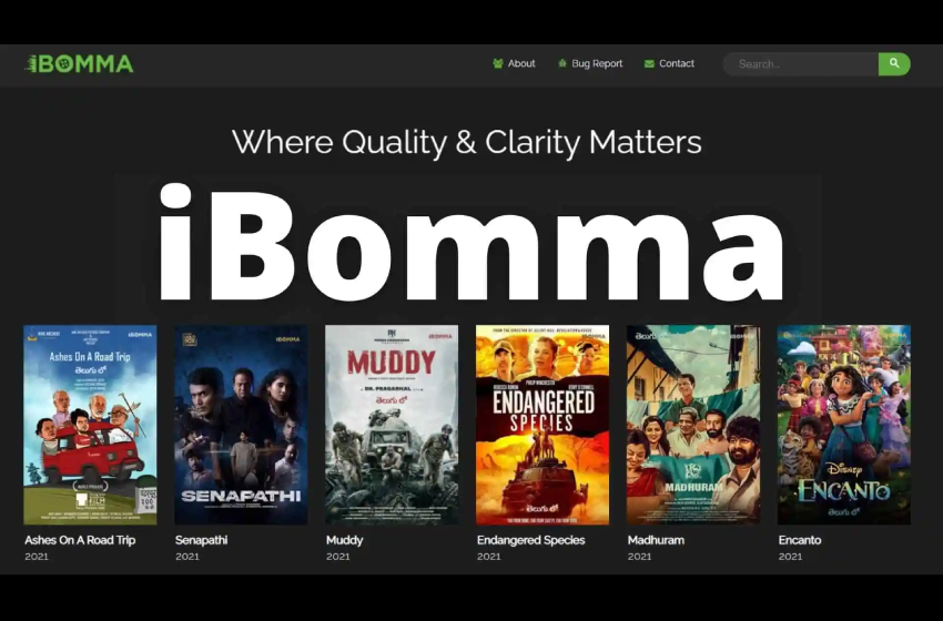 iBOMMA: A Comprehensive Guide to the Popular Streaming Platform