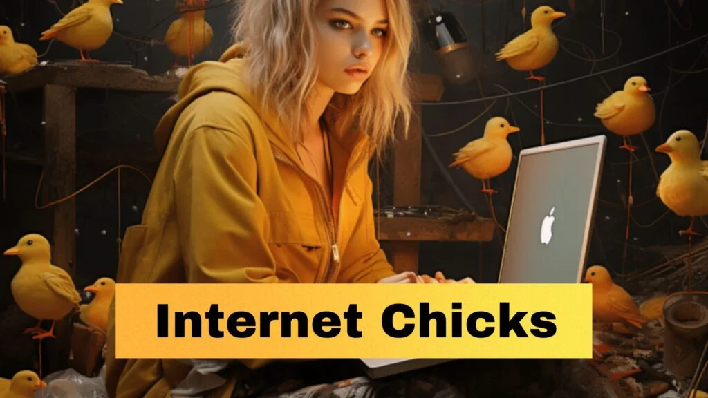 What is Internet Chicks?