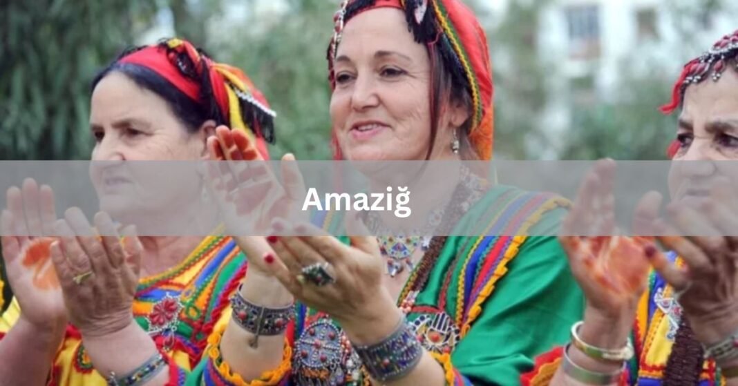 What is Amaziğ? A Complete Review